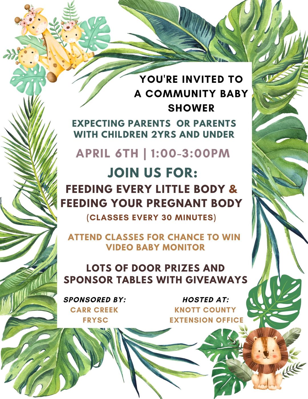 Community Baby Shower