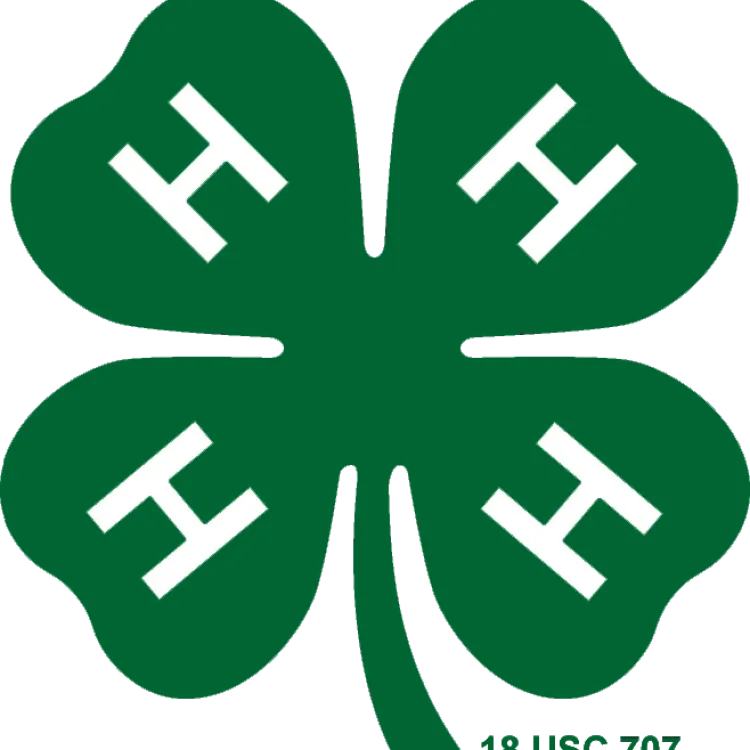  4-H Clover
