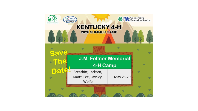 4-H Summer Camp